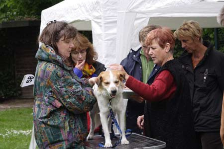 Koerung in Velbert_059