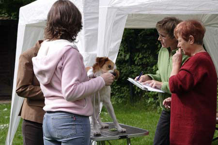 Koerung in Velbert_007