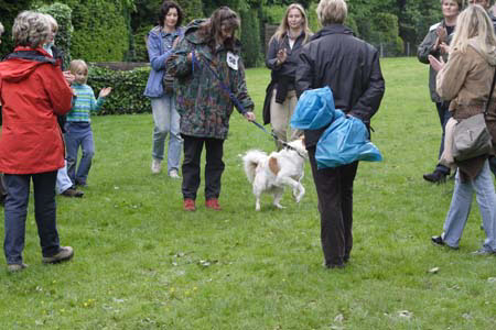 Koerung in Velbert_091