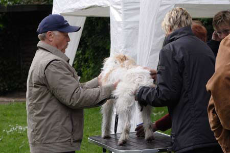 Koerung in Velbert_030