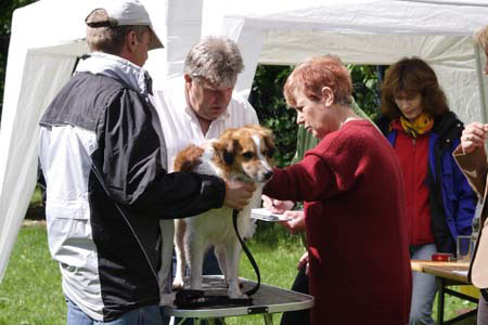 Koerung in Velbert_006