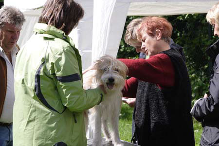 Koerung in Velbert_022