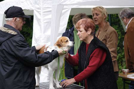 Koerung in Velbert_012