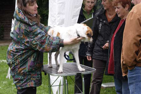 Koerung in Velbert_036